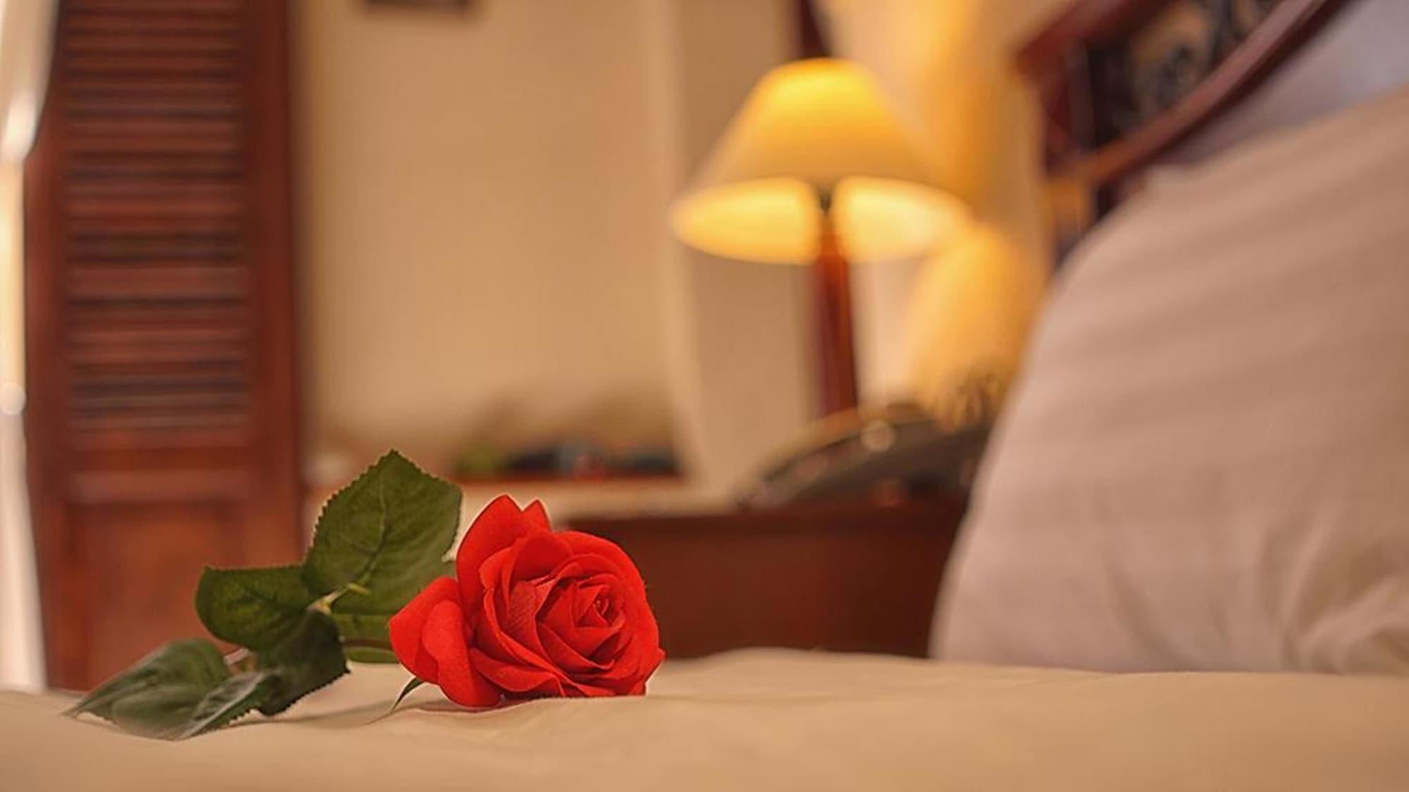 Cam Ly Boutique Apartment & Hotel Ho Şi Min Dış mekan fotoğraf