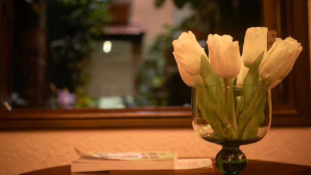 Cam Ly Boutique Apartment & Hotel Ho Şi Min Dış mekan fotoğraf
